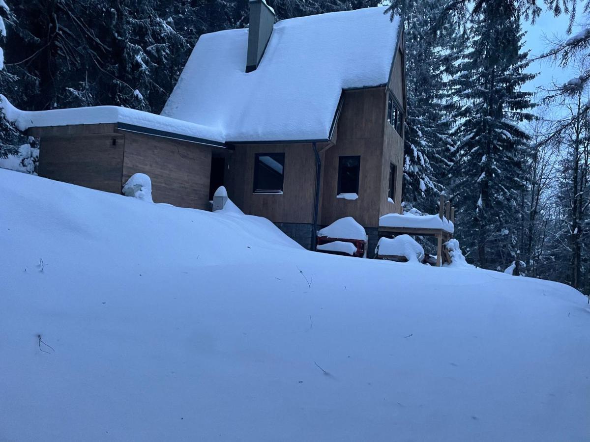 Vyšná Boca Chalet Fimili מראה חיצוני תמונה
